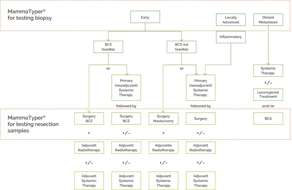 therapy pathway image