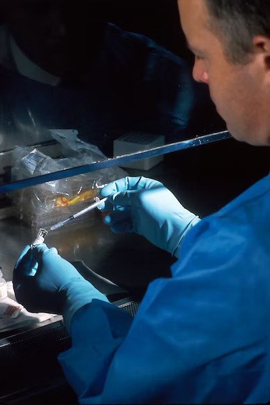 BUN Test and Normal Range