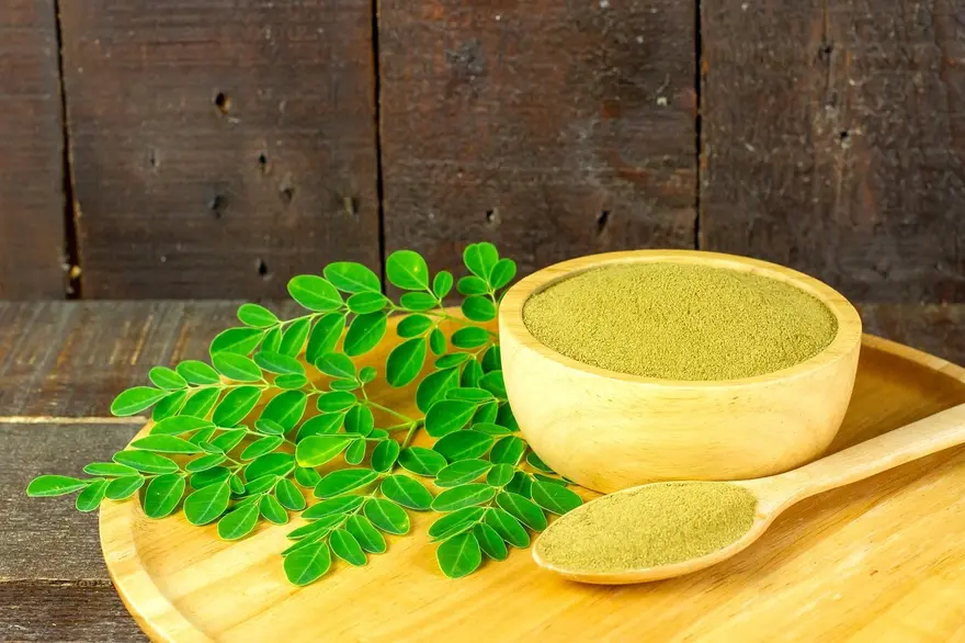 Benefits of Moringa Powder For Diabetes Management