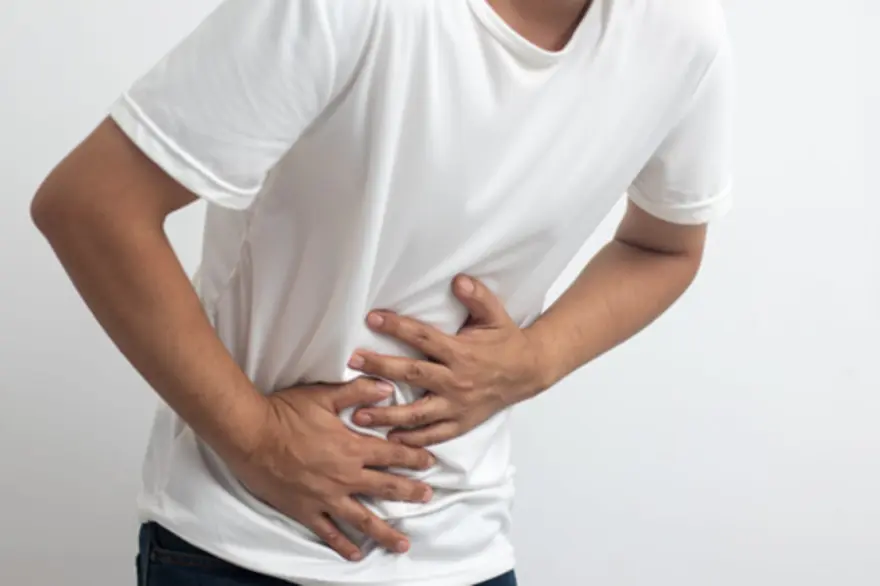 Hydatid disease life cycle