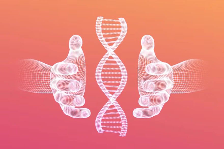 Father and child DNA testing procedure