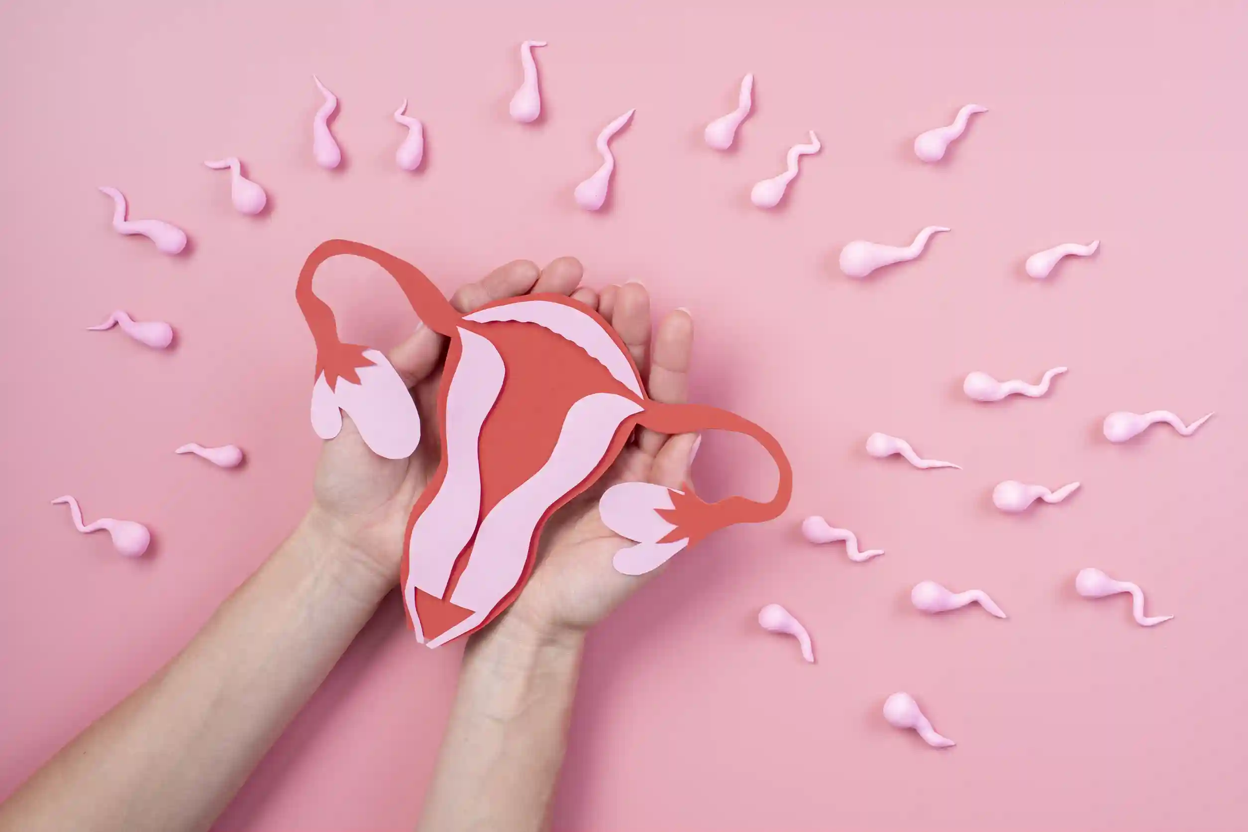 Symptoms & Types Of Bacterial Vaginosis (BV) Test