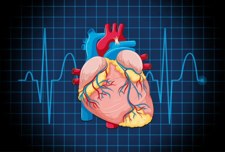 Learn about enlarged heart (cardiomegaly) symptoms