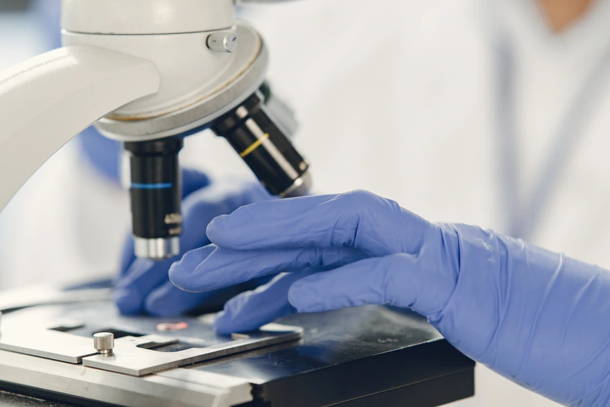 Urine cytology results