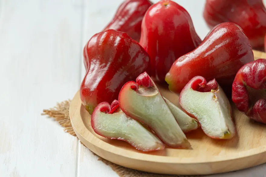 वॉटर एप्पल फल के फायदे और पोषक तत्व