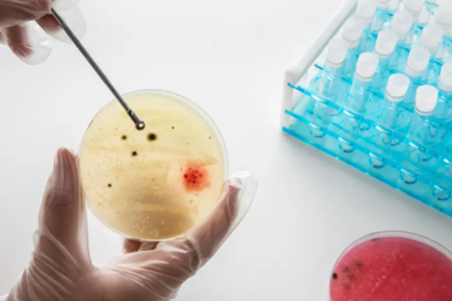 Mucus in body showing protective and lubricating function