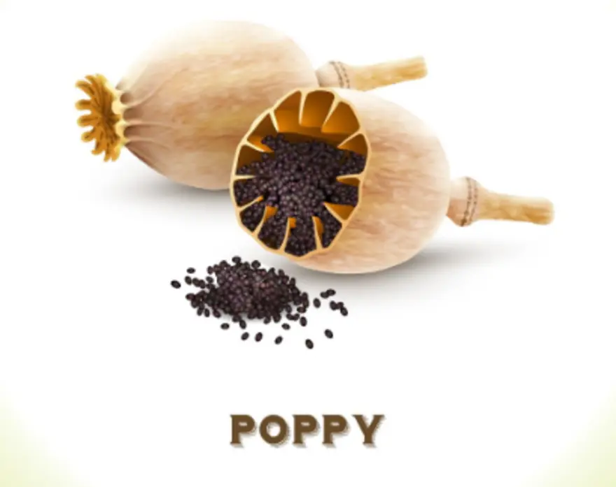 खसखस कैसे खाएं