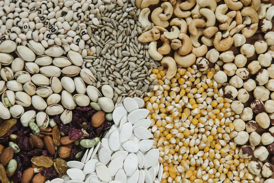 Zinc-rich vegetarian foods: legumes, seeds, and more.