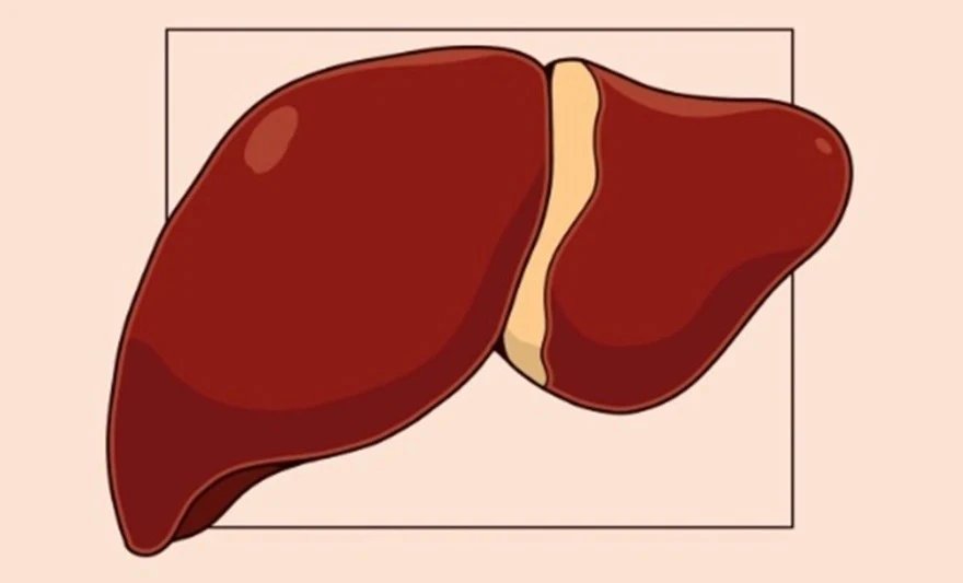 Liver cysts causes and symptoms