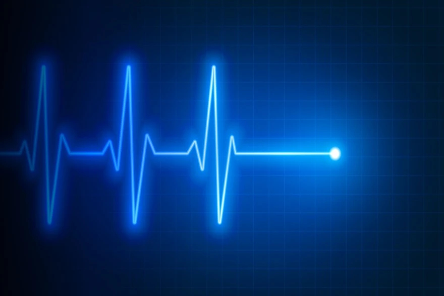 Heart Palpitations Causes and Health Facts