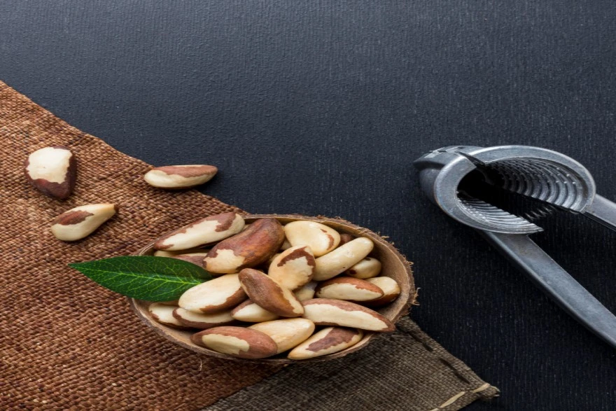 ब्राज़ील नट्स और उनके पोषण तथ्य