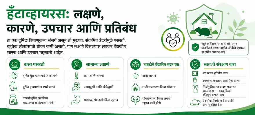 हँटाव्हायरस प्रतिबंध