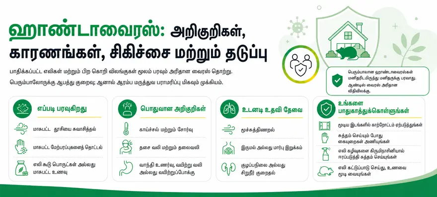 ஹாண்டாவைரஸ் தடுப்பு